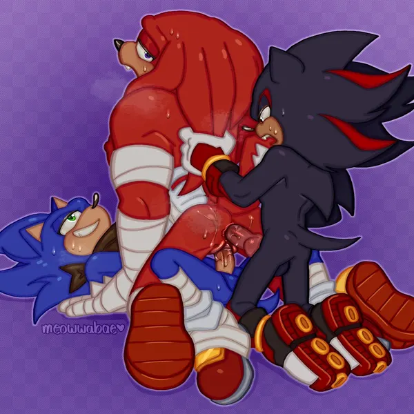 knuckles the echidna, shadow the hedgehog, sonic the hedgehog (sega, sonic the hedgehog (series)) created by meowwabae