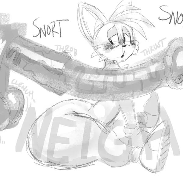 miles prower (sega, sonic the hedgehog (series)) created by naughtymoff