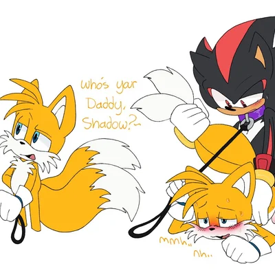 miles prower, shadow the hedgehog (sega, sonic the hedgehog (series)) created by pachi rizuu