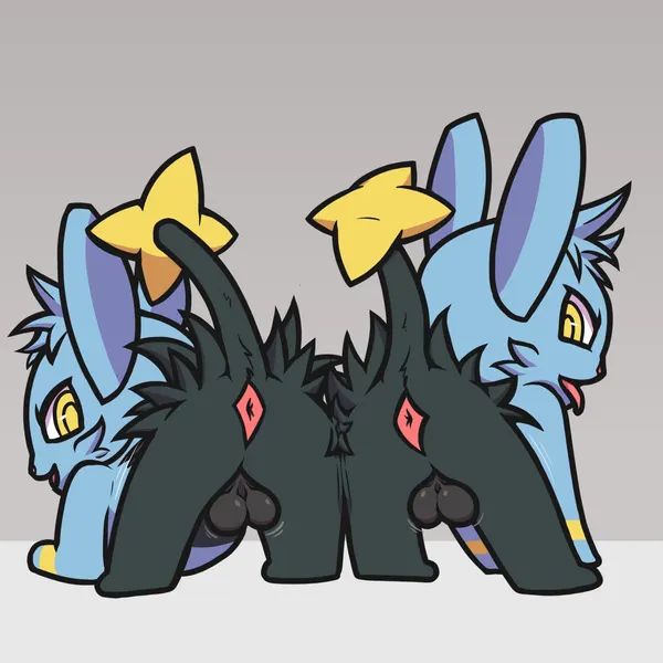nintendo, pokemon created by fuzzo