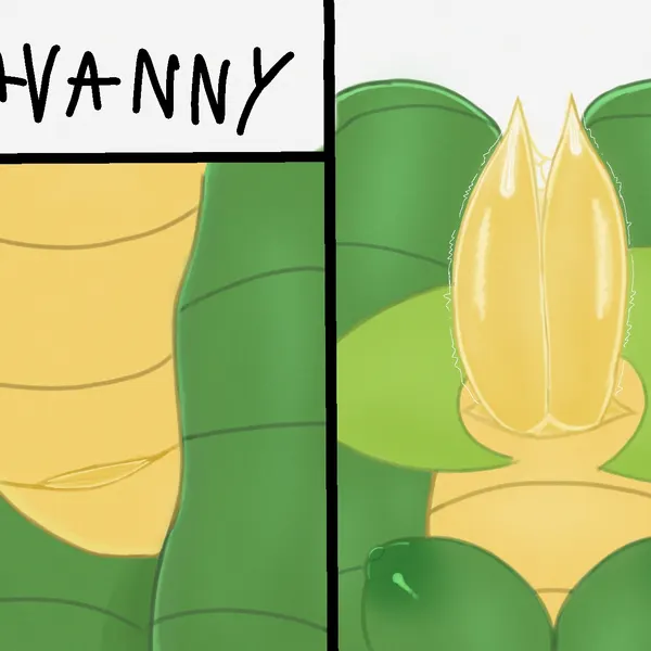 nintendo, pokemon created by longassnout