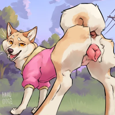 panama (hakudoge) created by hakudoge