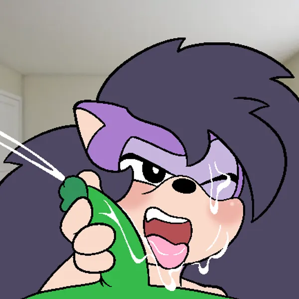 queen aleena hedgehog (dic entertainment, sega) created by four-pundo