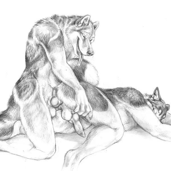 scratches volume 4 created by blotch