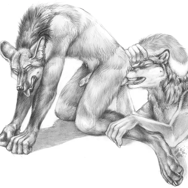 scratches volume 5 created by blotch