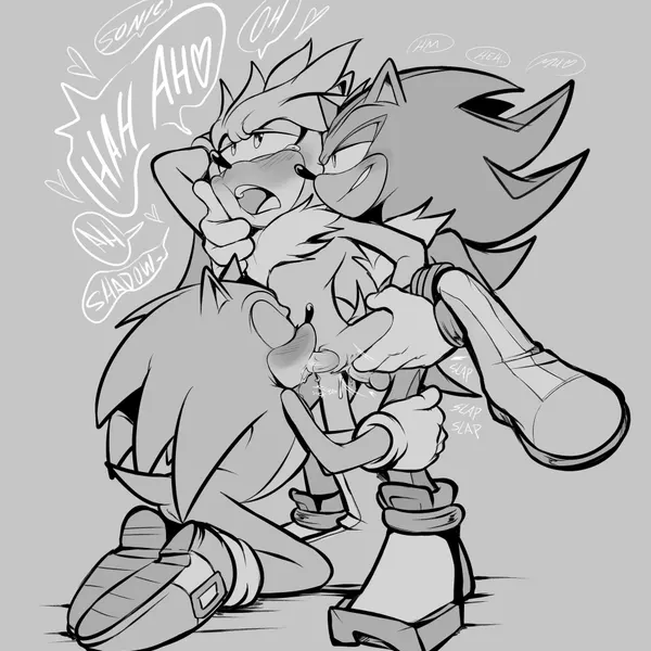 shadow the hedgehog, silver the hedgehog, sonic the hedgehog (sega, sonic the hedgehog (series)) created by shaddycatz