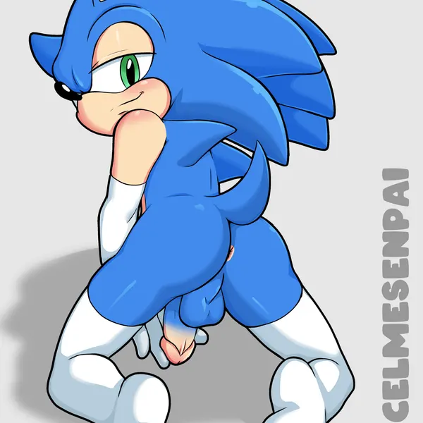 sonic the hedgehog (idw publishing, sega) created by cancelmesenpai