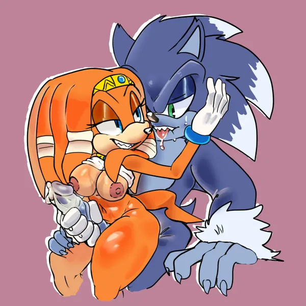 sonic the hedgehog, sonic the werehog, tikal the echidna (sega, sonic adventure) created by nicole chees