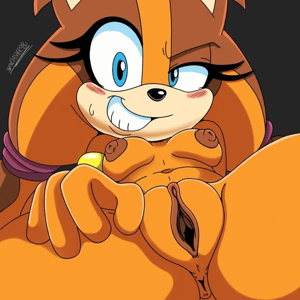 sticks the jungle badger (sega, sonic boom) created by spindasher98