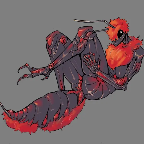 velvet ant (sun bug) created by sun bug