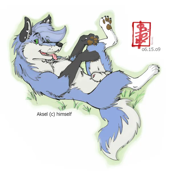 aksel created by fennec (artist)
