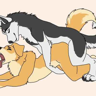 animal genitalia, animal penis, anthro, anthro on feral