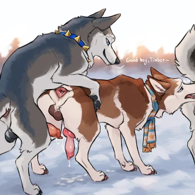 anvil (hakudoge), timber (hakudoge) created by hakudoge