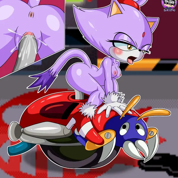 blaze the cat (project x love potion disaster, sega) created by sirjzau