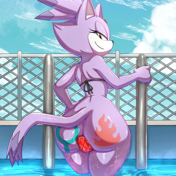 blaze the cat (sega, sonic the hedgehog (series)) created by 1lastshadow1
