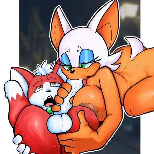 chip (sonic), rouge the bat (sega, sonic the hedgehog (series)) created by noinxatnite
