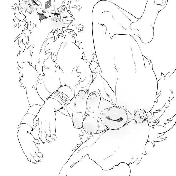 created by anixaila