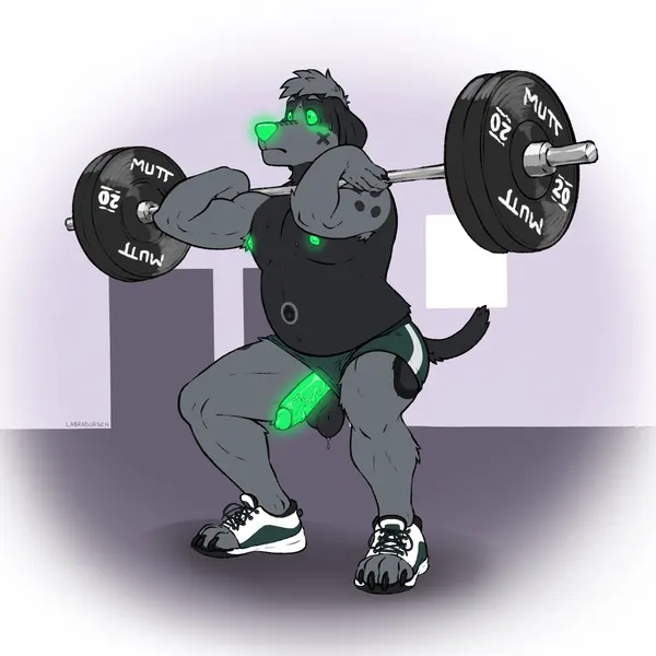 created by labradorszn