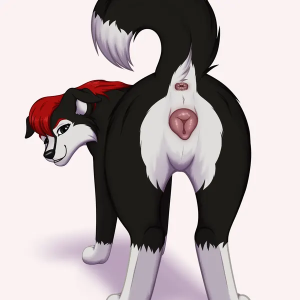 created by miuyki