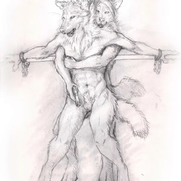 created by sekki