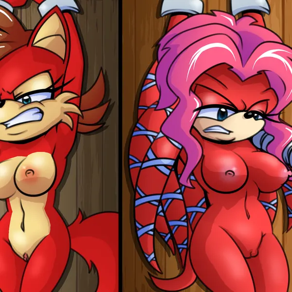 fiona fox, lien-da (archie comics, sega) created by bladetigerx, hyoumaru