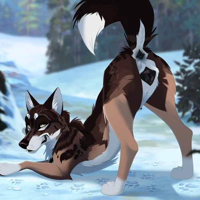 juniper (fishymishy) created by arf-fra