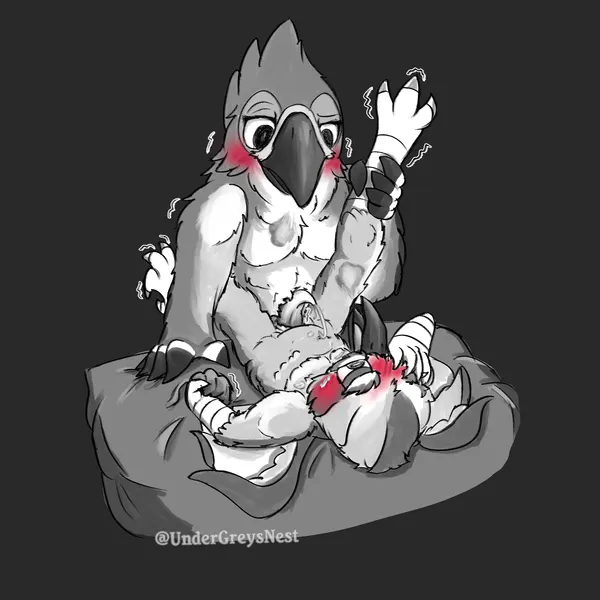 kass (tloz), klaus dawntalon (undergreysnest) (breath of the wild, dungeons and dragons) created by undergreysnest