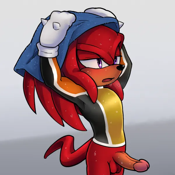 knuckles the echidna (sega, sonic the hedgehog (series)) created by sbork