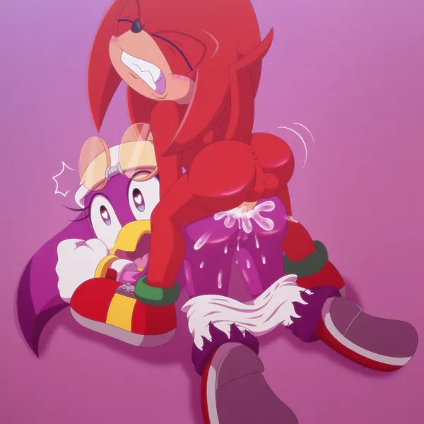 knuckles the echidna, wave the swallow (sega, sonic riders) created by ladycherrybomba