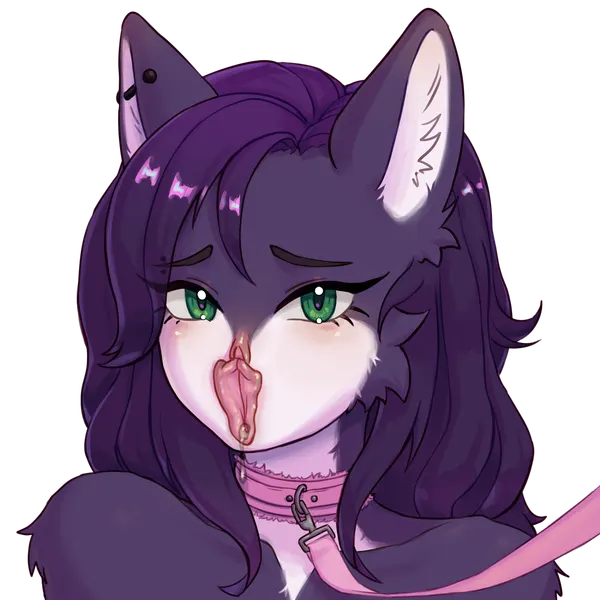 lexietil created by lexicorp