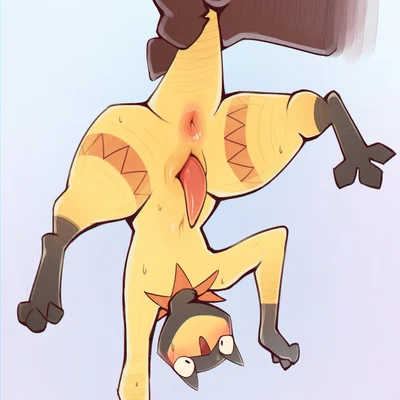 nintendo, pokemon created by nepentz