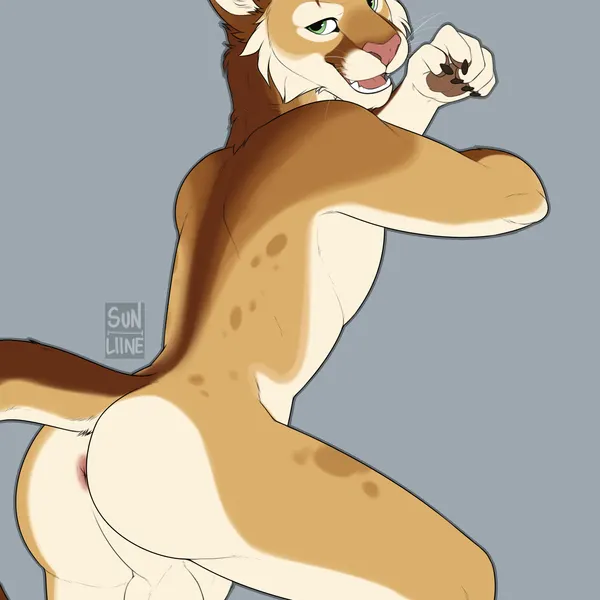 rikki (purrma) created by sunliine