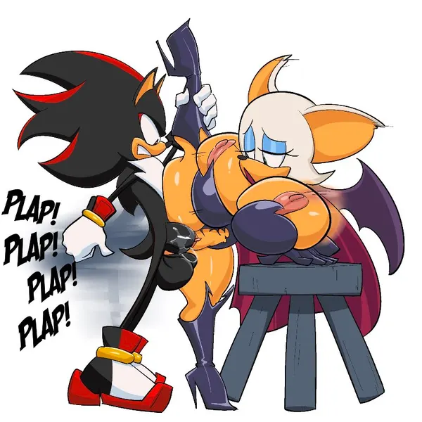 rouge the bat, shadow the hedgehog (sega, sonic the hedgehog (series)) created by john coffe
