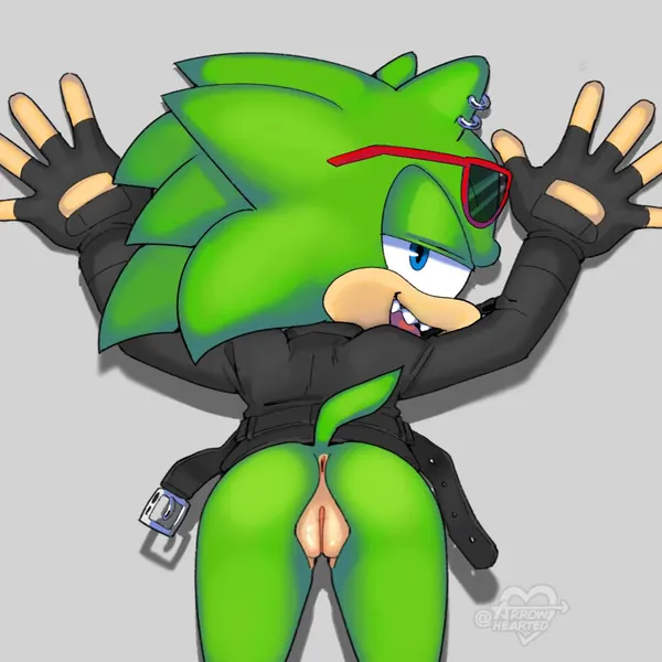 scourge the hedgehog (archie comics, sega) created by arrow hearted
