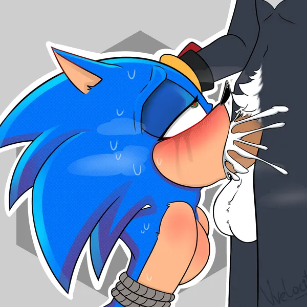 shadow the hedgehog, sonic the hedgehog (sega, sonic the hedgehog (series)) created by vvelocity