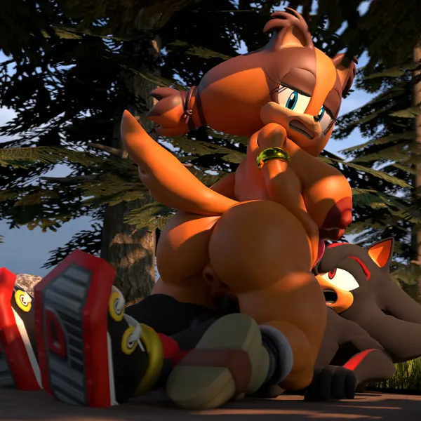 shadow the hedgehog, sticks the jungle badger (sega, sonic boom) created by dikol