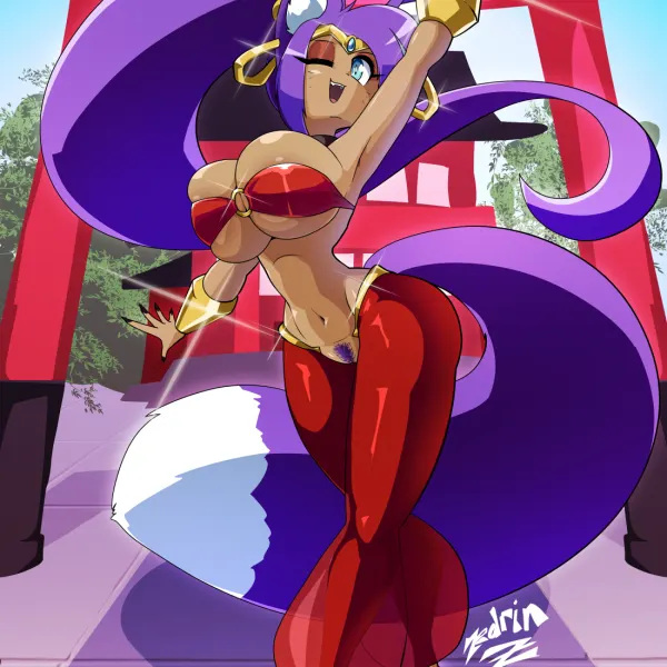 shantae (shantae (series), wayforward) created by zedrin