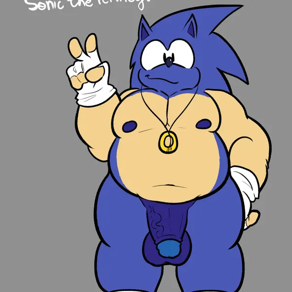 sonic the hedgehog (sega, sonic the hedgehog (series)) created by slyden'in