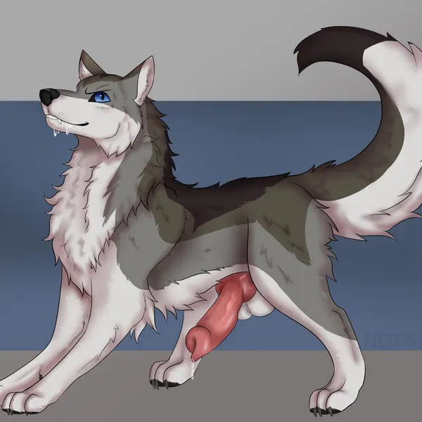 susi (nouyorus) created by hotaru