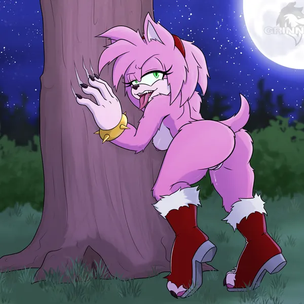 amy rose, amy rose the werehog (sega, sonic the hedgehog (series)) created by grinn3r