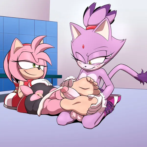 amy rose, blaze the cat (sega, sonic the hedgehog (series)) created by arts eidolon