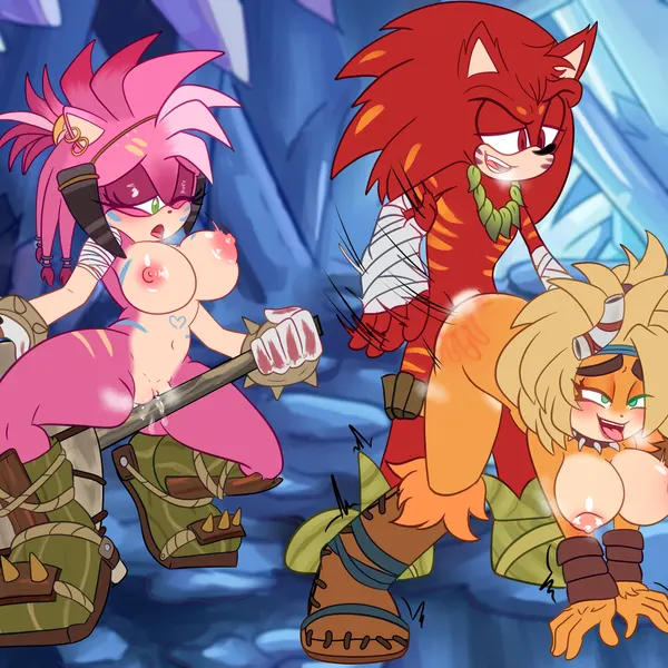 amy rose, coco bandicoot, thorn rose (sonic) (activision, crash bandicoot (series)) created by demichan
