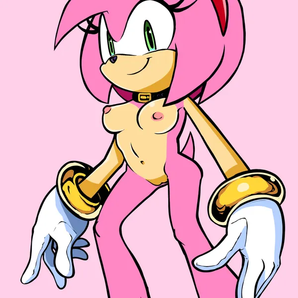 amy rose (sega, sonic the hedgehog (series)) created by randomguy999