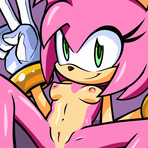 amy rose (sega, sonic the hedgehog (series)) created by randomguy999