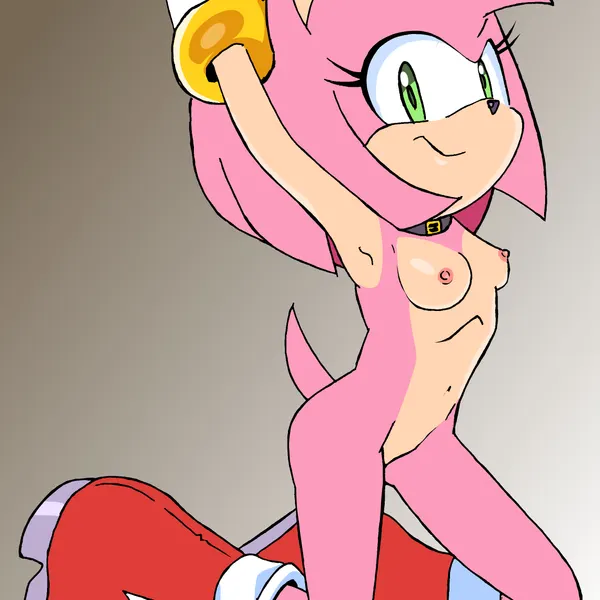 amy rose (sega, sonic the hedgehog (series)) created by randomguy999