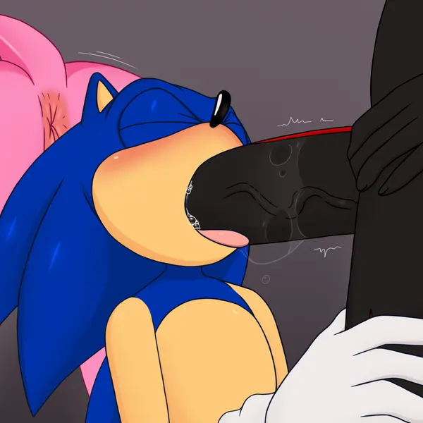 amy rose, shadow the hedgehog, sonic the hedgehog (sega, sonic the hedgehog (series)) created by excito