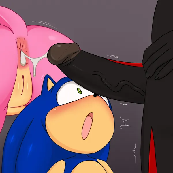 amy rose, shadow the hedgehog, sonic the hedgehog (sega, sonic the hedgehog (series)) created by excito