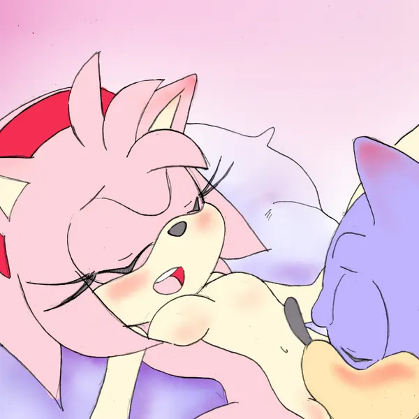 amy rose, sonic the hedgehog (sega, sonic the hedgehog (series)) created by randomguy999