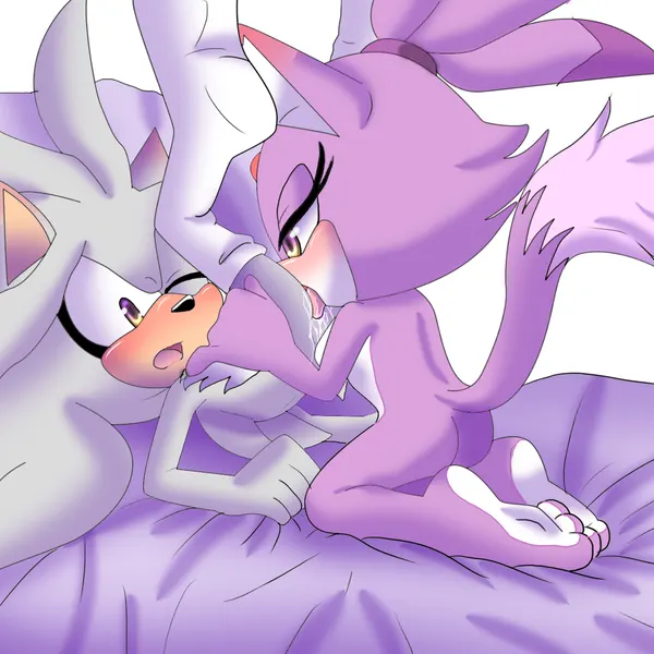blaze the cat, silver the hedgehog (sega, sonic the hedgehog (series)) created by angelofhapiness