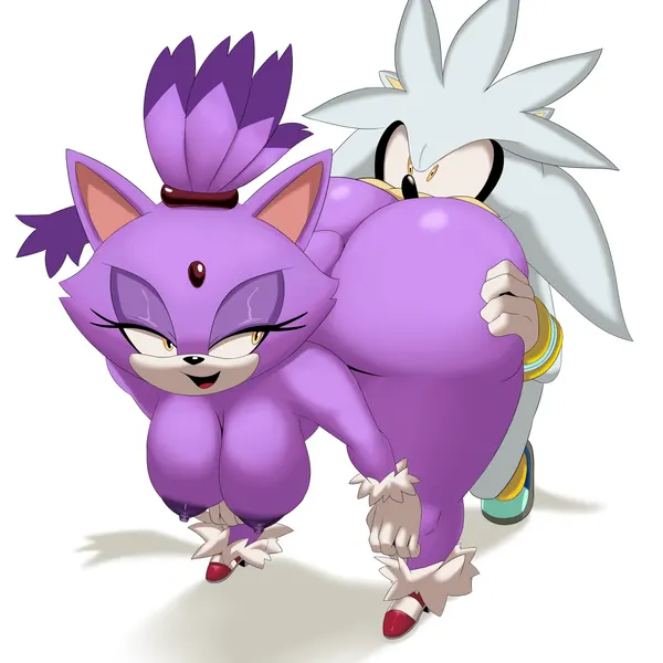blaze the cat, silver the hedgehog (sega, sonic the hedgehog (series)) created by scrabble007